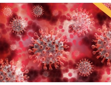 Védelem a vírusokkal szemben légtisztítóval? Lehetséges, de...