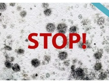 Számoljon le a penésszel otthonában